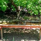 photo 2021-05-10 12-12-18