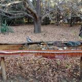 photo 2021-10-26 07-58-50