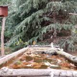 photo 2023-10-20 09-39-23