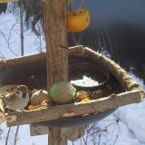 photo 2019-01-27 09-40-58