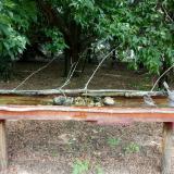 photo 2021-07-12 11-49-26