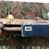 photo 2021-02-10 10-16-16