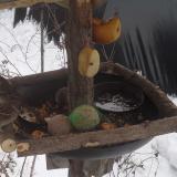 photo 2019-01-27 11-51-17