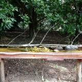 photo 2021-08-25 09-10-26