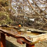 photo 2022-03-15 13-48-58