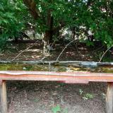 photo 2021-08-06 14-43-48