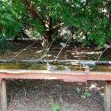 photo 2021-08-06 15-41-32