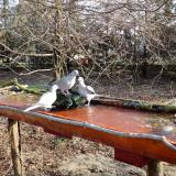 photo 2021-03-20 07-56-58