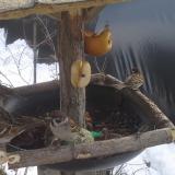 photo 2019-01-29 12-55-52