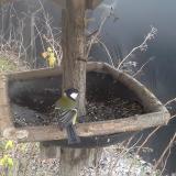 photo 2019-12-29 12-39-27