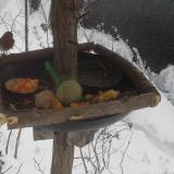 photo 2019-01-23 09-41-04