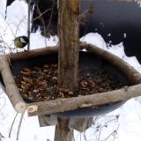 photo 2019-01-08 09-05-58