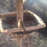 photo 2019-02-27 07-42-12