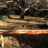 photo 2021-10-25 09-14-53