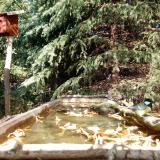 photo 2023-10-17 13-10-46