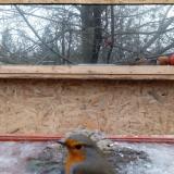 photo 2022-01-20 09-00-10