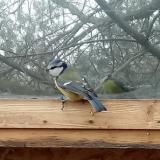 photo 2022-01-16 11-24-18 kek