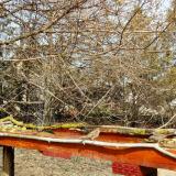 photo 2021-03-27 12-56-15