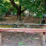 photo 2021-07-12 18-23-23