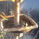 photo 2019-12-27 15-12-26