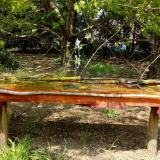 photo 2021-04-25 14-06-22