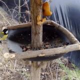 photo 2019-02-08 11-57-53