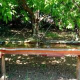 photo 2021-05-10 12-23-37