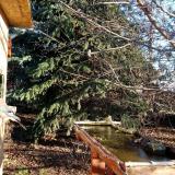 photo 2021-12-13 09-11-50