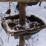 photo 2019-01-06 10-47-16