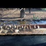 photo 2021-11-30 11-48-02