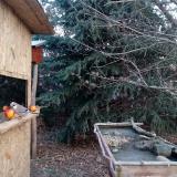 photo 2021-12-22 09-31-01