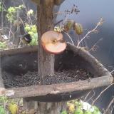 photo 2019-12-05 11-37-33