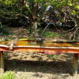 photo 2021-04-21 12-48-52