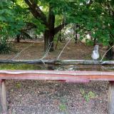 photo 2021-07-03 18-06-53