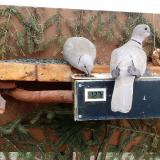 photo 2021-03-05 14-11-03