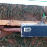 photo 2021-03-01 07-18-26