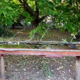 photo 2021-05-25 19-04-06