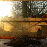 photo 2022-01-19 08-20-31