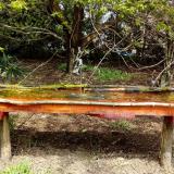 photo 2021-04-15 12-28-47