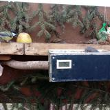 photo 2021-02-06 12-31-42