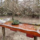 photo 2021-03-23 08-08-57