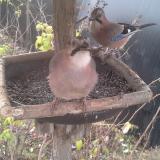 photo 2019-12-19 09-20-03