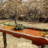 photo 2021-03-26 09-35-38