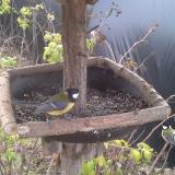 photo 2019-12-16 08-45-27