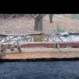 photo 2021-11-30 13-49-36