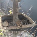 photo 2019-12-28 08-38-55