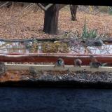 photo 2021-11-08 13-22-04