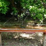 photo 2021-05-15 10-48-13