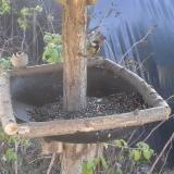 photo 2019-12-16 11-56-53