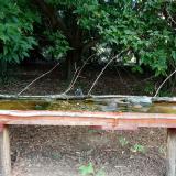 photo 2021-08-09 12-23-41